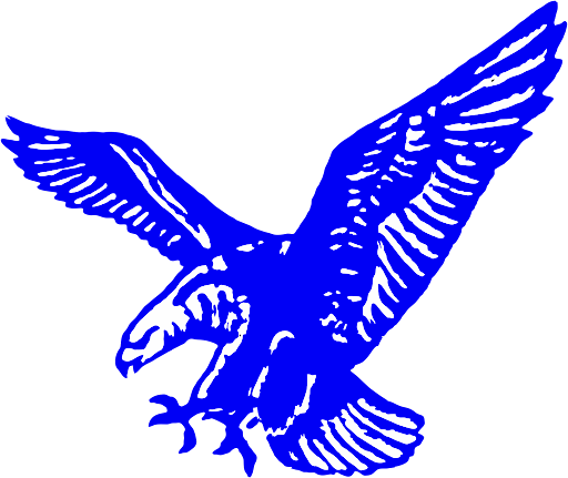 St. Emily Eagles